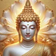 Buddha HD Photo Wallpapers icon