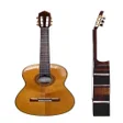 Иконка программы: play real guitar