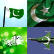 Icon of program: Pakistan Flag Wallpaper: …