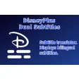 Disney+ Dual Subtitles - Subtitle Translator