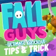 New Fall Guys Tips and Tricks