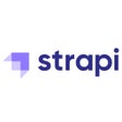 Icoon van programma: Strapi