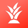 程序图标：Daycation App