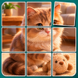 Ikona programu: Picture Cards: Jigsaw Gam…