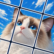 程序图标：Picture Cards: Jigsaw Gam…