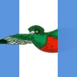 Ícone do programa: Quetzales
