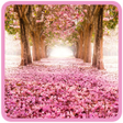 プログラムのアイコン：Nature Wallpaper - Landsc…