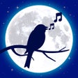 Icon of program: Relaxed - Sleep Sounds R…