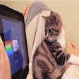 Icon of program: Kitty Tab