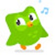 Icoon van programma: Duolingo Everywhere