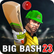 プログラムのアイコン：Aussie Cricket Championsh…