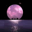 أيقونة البرنامج: Moon Wallpaper