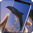 ไอคอนของโปรแกรม: Lovely Dolphin Live Wallp…