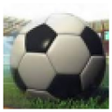 程序图标：Betting Football gold
