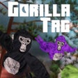 程序图标：Gorilla Tag