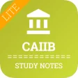 CAIIB Study Notes Lite