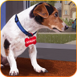 Ícone do programa: Animal Shelter Dog Rescue…