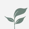 Icon of program: Wholesome World