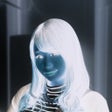 プログラムのアイコン：Simple Negative Image