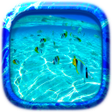 Sea Picture Puzzle icon