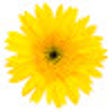 Icoon van programma: PrairieTrack - PrairieLea…