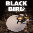 Ikon program: Black Bird