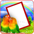 程序图标：Love Birds Photo Frame wi…