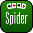 Spider Solitaire Classic icon