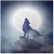 Wolf Sound Howling