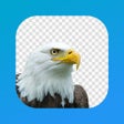 Иконка программы: AI background eraser