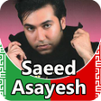 程序图标：Saeed Asayesh - songs off…