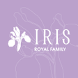 Иконка программы: IRIS