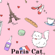Paris Cat Theme HOME