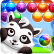 Ikon program: Raccoon Bubbles