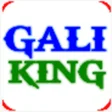 Programın simgesi: Gali King