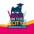 プログラムのアイコン：Bulls in the City