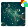 Icon of program: Theme XZ2 Green