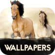 プログラムのアイコン：Wallpapers with Horses in…