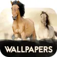 Wallpapers with Horses in 4K