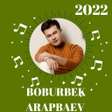 程序图标：Boburbek Arapbaev qoshiq2…