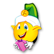 Sorteador de Amigo Oculto icon