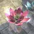 Icon of program: 脱出ゲーム 雨降る庭からの脱出