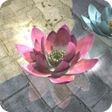 脱出ゲーム 雨降る庭からの脱出 icon