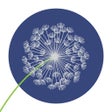 Icon of program: Tanaffas - تنفس