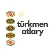 Icon of program: Turkmen Names - Türkmen A…