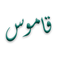 Ikon program: Pak Vehicle Registration