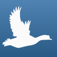 أيقونة البرنامج: Little Bird Quiz: Aves Eu…