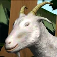 أيقونة البرنامج: Temple Goat Run