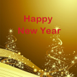 Ikon program: New Year 2021 SMS