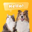 Dog  Cat Translator Prank